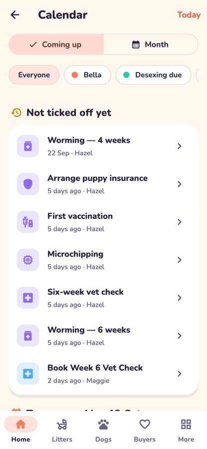 Calendar coming-up list grouped by day